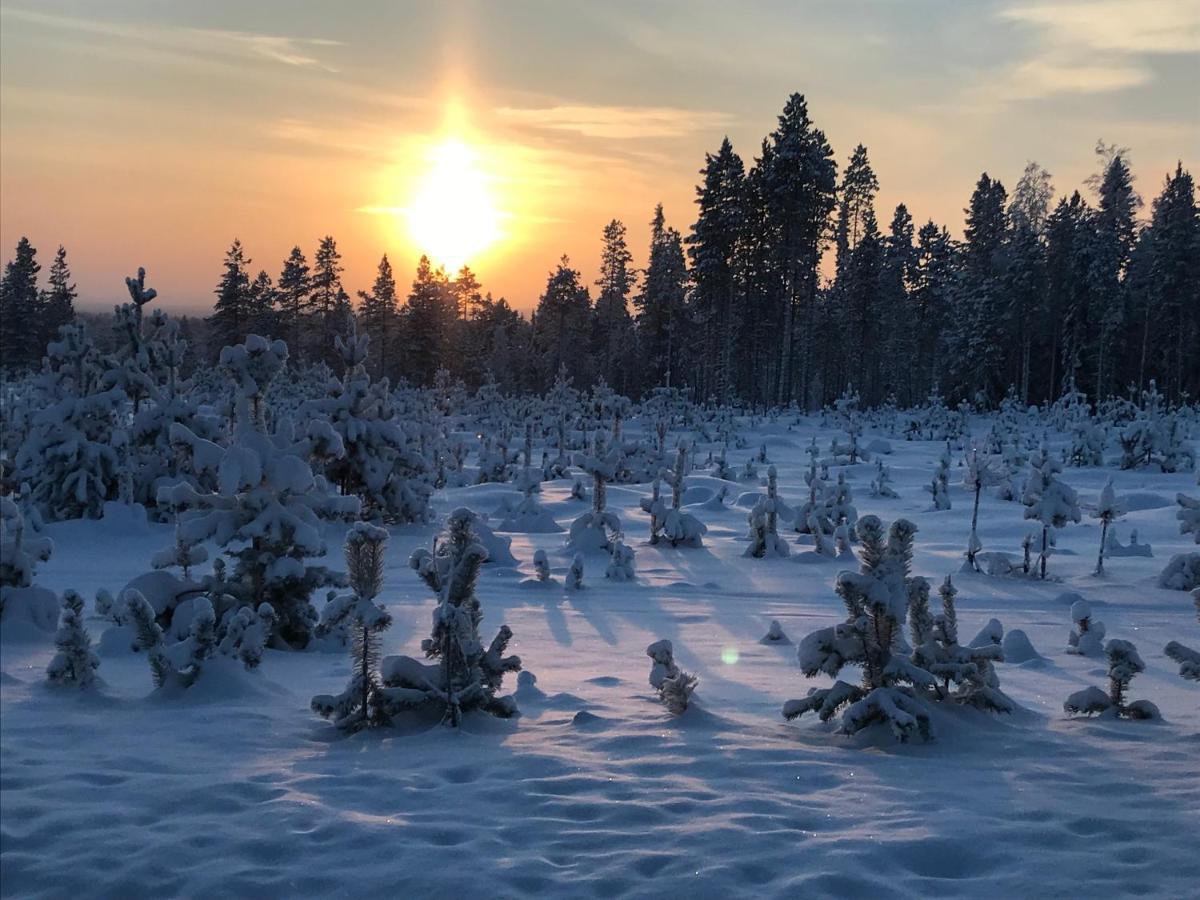 דירות קמיארבי Soppela Retreat At The Arctic Circle מראה חיצוני תמונה